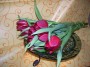 Bordó tulipáncsokor