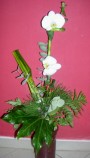 Bambusz orchideával