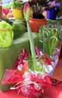 Cserepes amaryllis