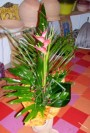 Heliconia díszítve